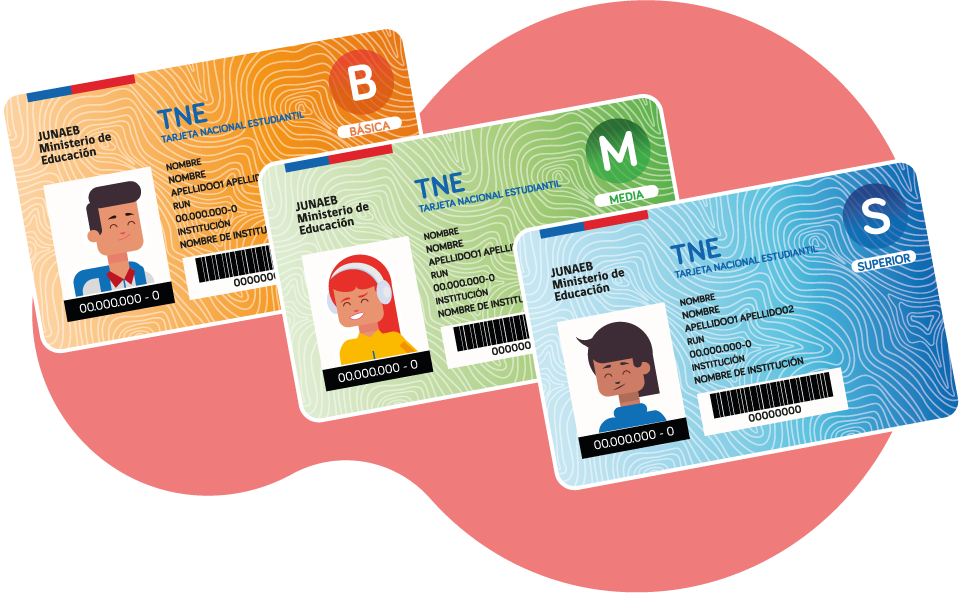Tarjeta Nacional Estudiantil (TNE) Educación básica, Media y Universitaria