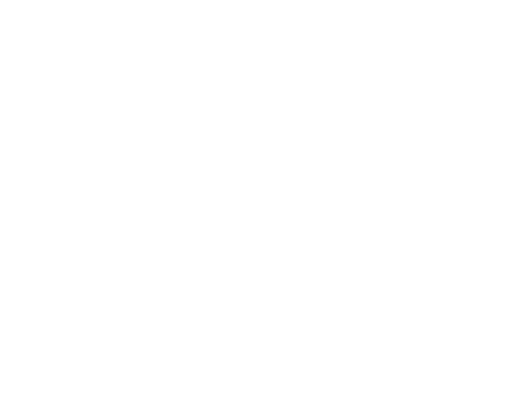 30% de los buses son eléctricos