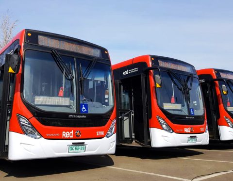 Red bus fleet