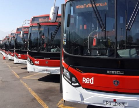 Fleet of Red buses