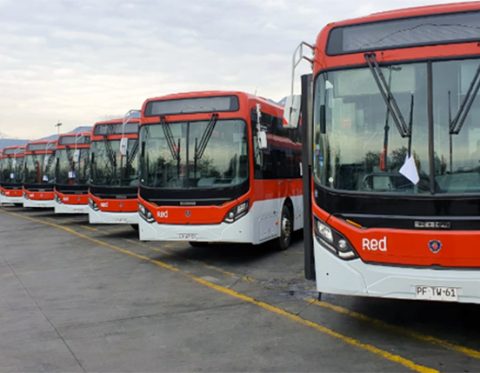 Red bus fleet