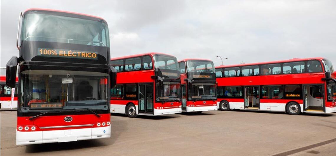 Nuevos buses
