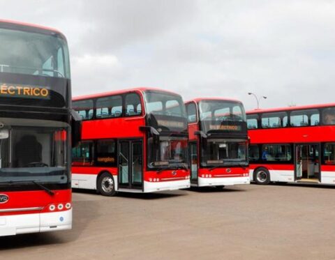 nuevos buses